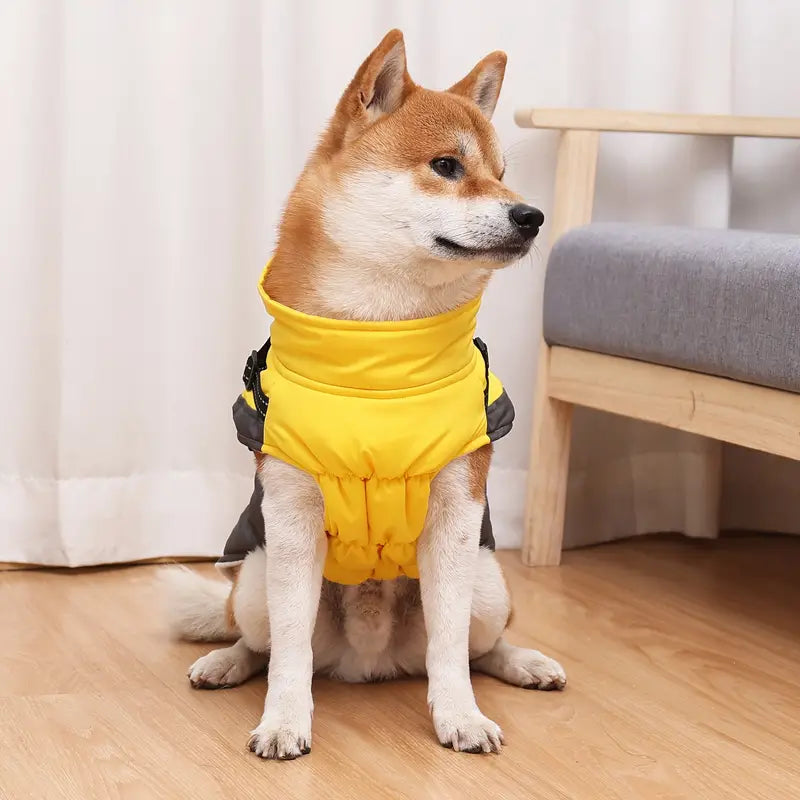 Bernd Hundejacke