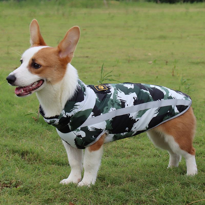 Lars Wasserdichter Hundemantel