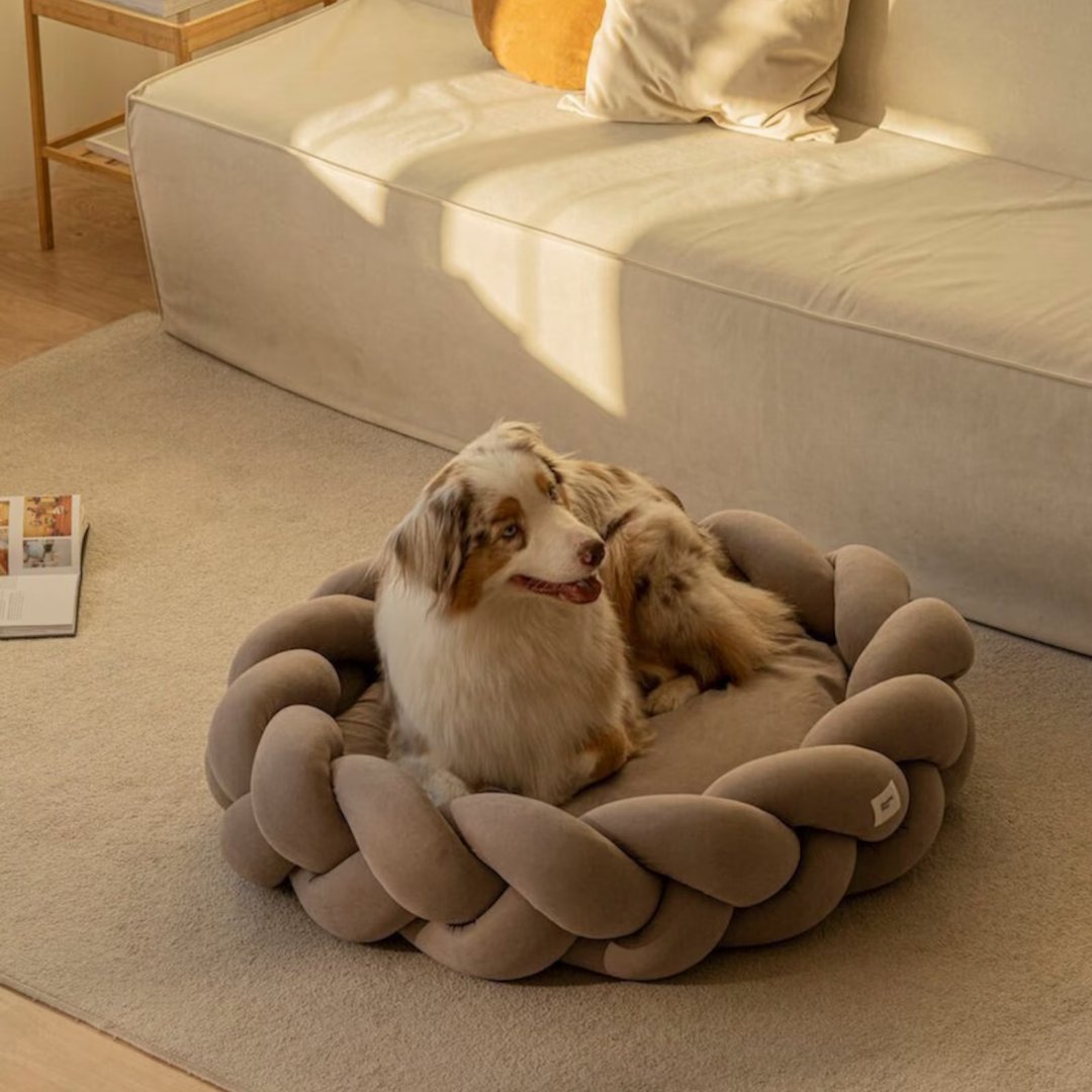 Steffen Luxuriöses Cuddle Cloud Hundebett für Komfort