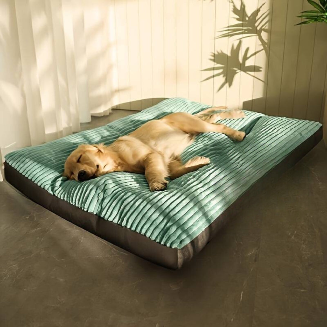 Gisela Unterstützendes Hundebett