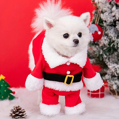 Starry Weihnachtsmann-Hundekostüm