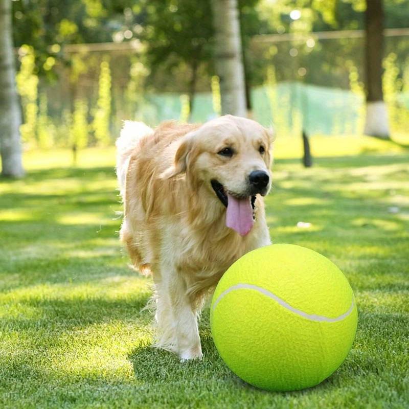 Remko | Der Spielball für Hunde