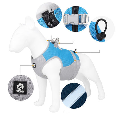 Zoey | Keine Hitze und Stress für eine bessere Atmung