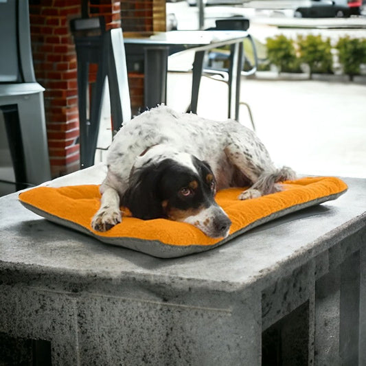 Huxley Bequeme Fleece Hundematte für jede Situation