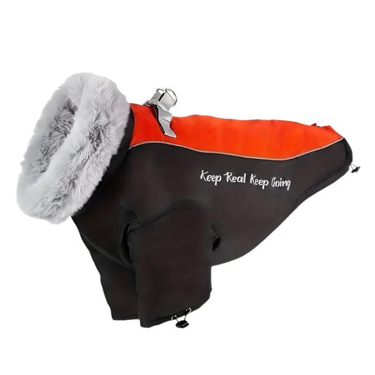 Kuno Hundejacke mit Kragen