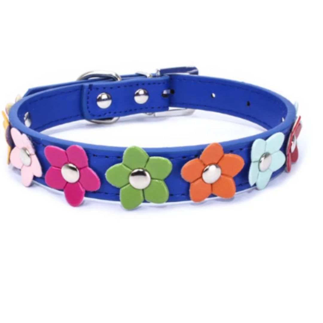 Angie | Stilvolles und sicheres Halsband für Hunde und Katzen