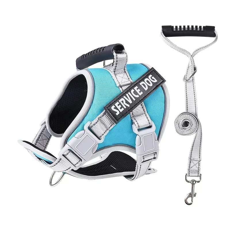 Hans Hundeleine mit Geschirr-Set für Assistenzhunde