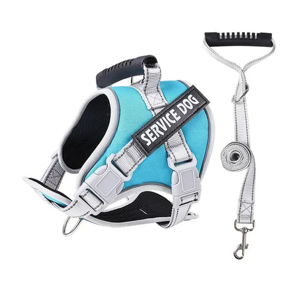 Hans Hundeleine mit Geschirr-Set für Assistenzhunde