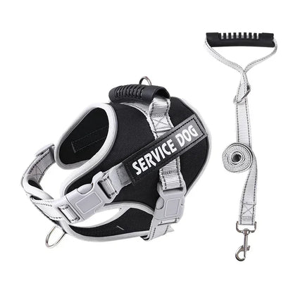 Hans Hundeleine mit Geschirr-Set für Assistenzhunde