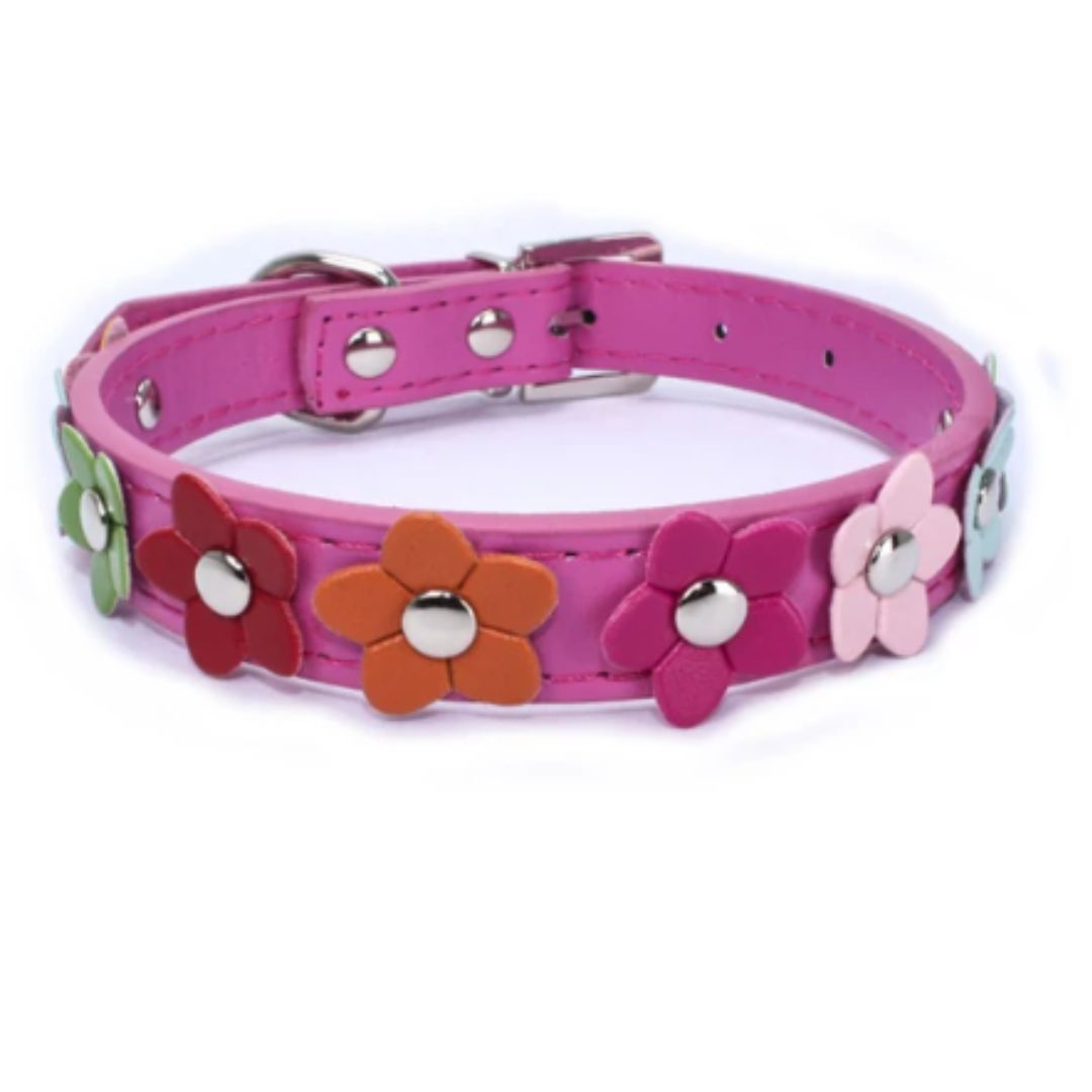 Angie | Stilvolles und sicheres Halsband für Hunde und Katzen