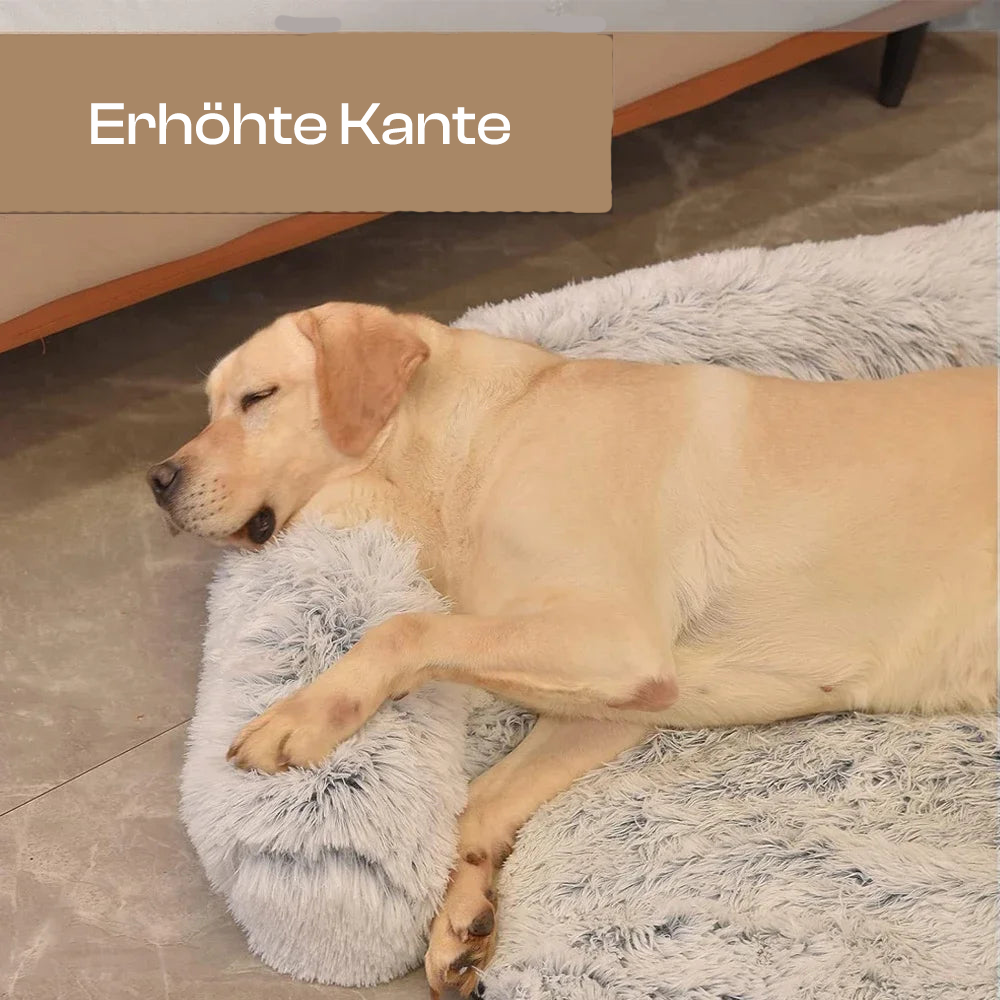 Vortex Hundesofa-Bett