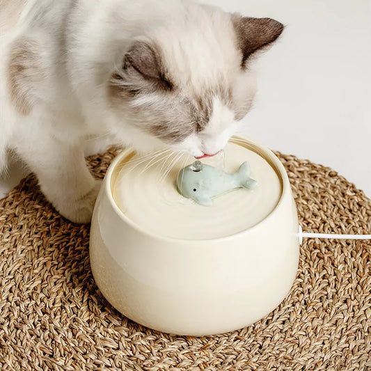 Momo | Waterfontäne für konstante Hydratation
