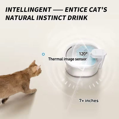 Steph | Automatischer Trinkbrunnen für Hund & Katze mit Filter
