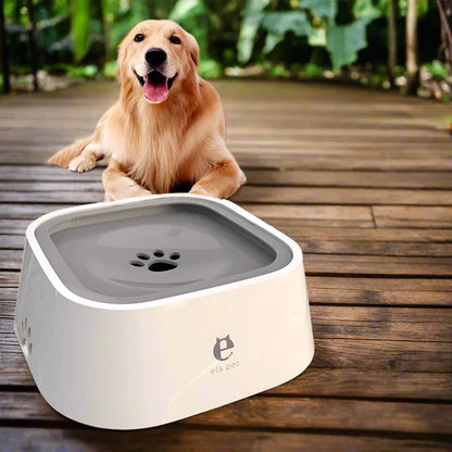Gracie Trinknapf für Hunde