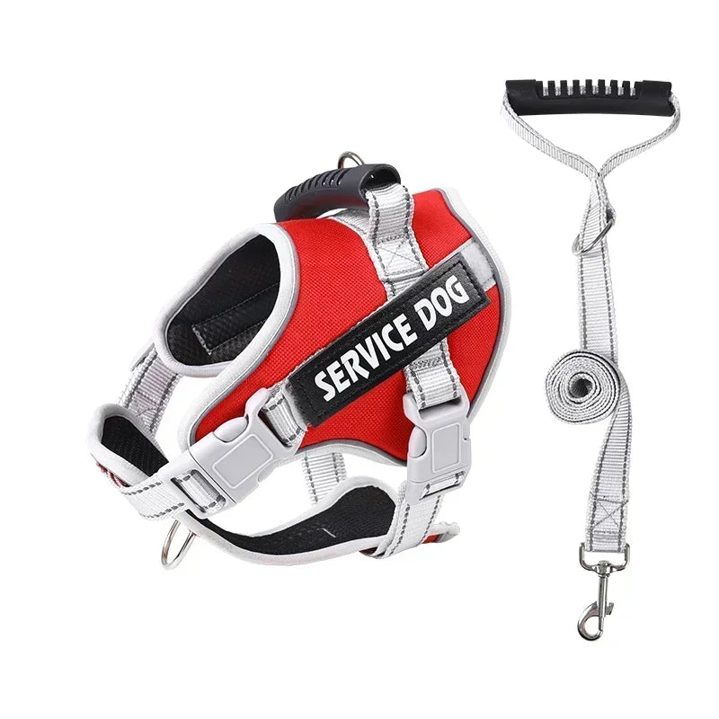 Hans Hundeleine mit Geschirr-Set für Assistenzhunde