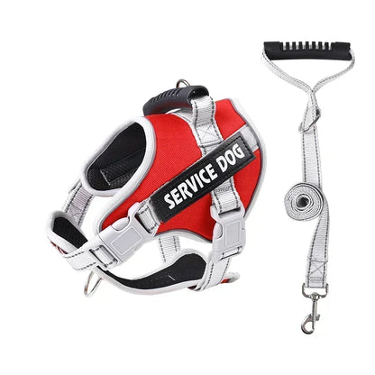 Hans Hundeleine mit Geschirr-Set für Assistenzhunde