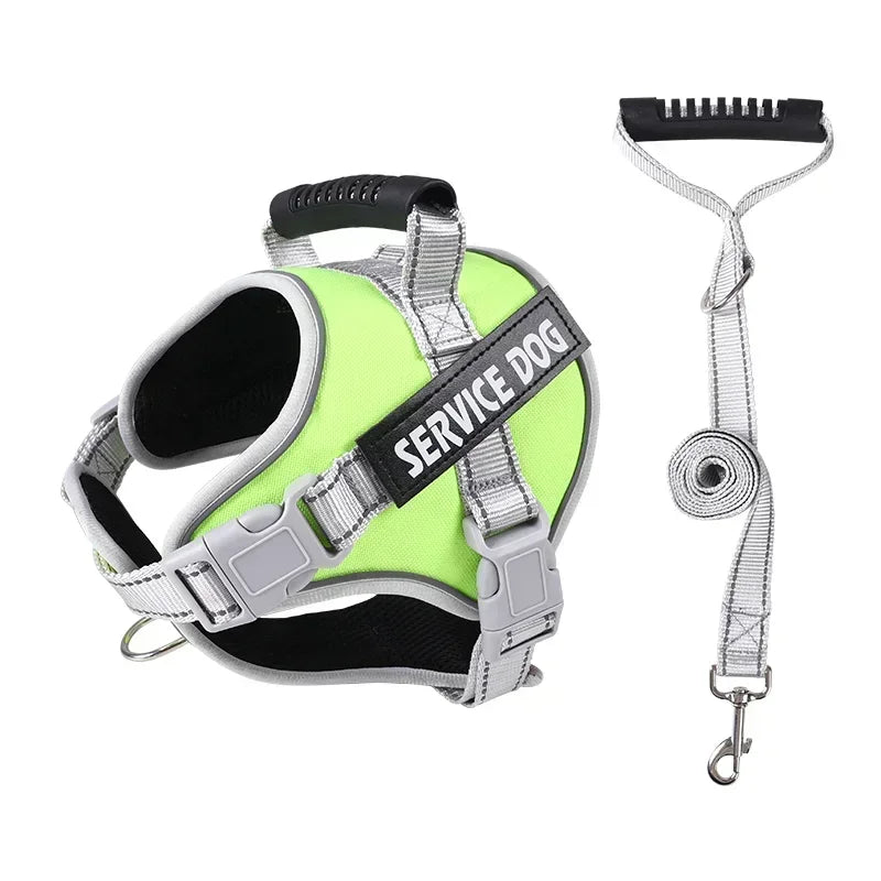 Hans Hundeleine mit Geschirr-Set für Assistenzhunde