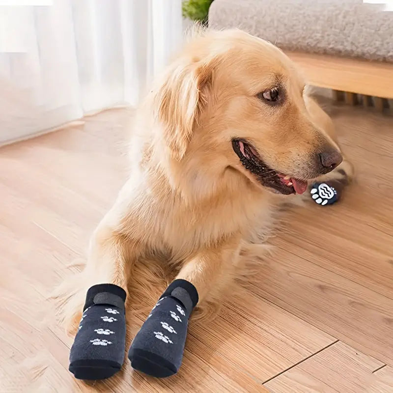 Millie Hundesocken