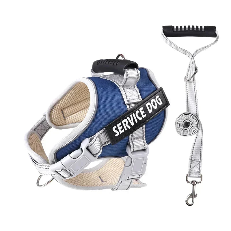 Hans Hundeleine mit Geschirr-Set für Assistenzhunde