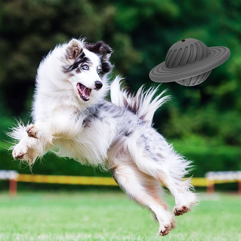 Geist Kauspielzeug hund