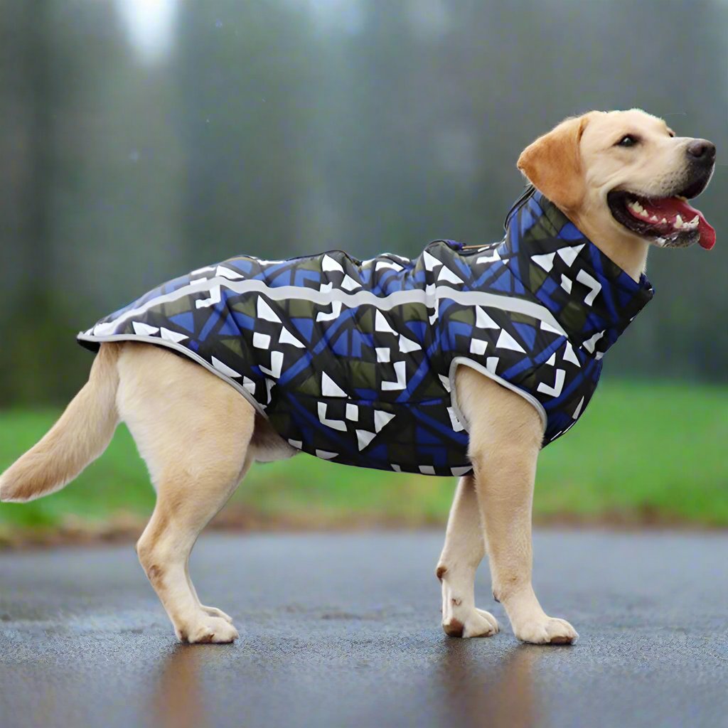 Lars Wasserdichter Hundemantel
