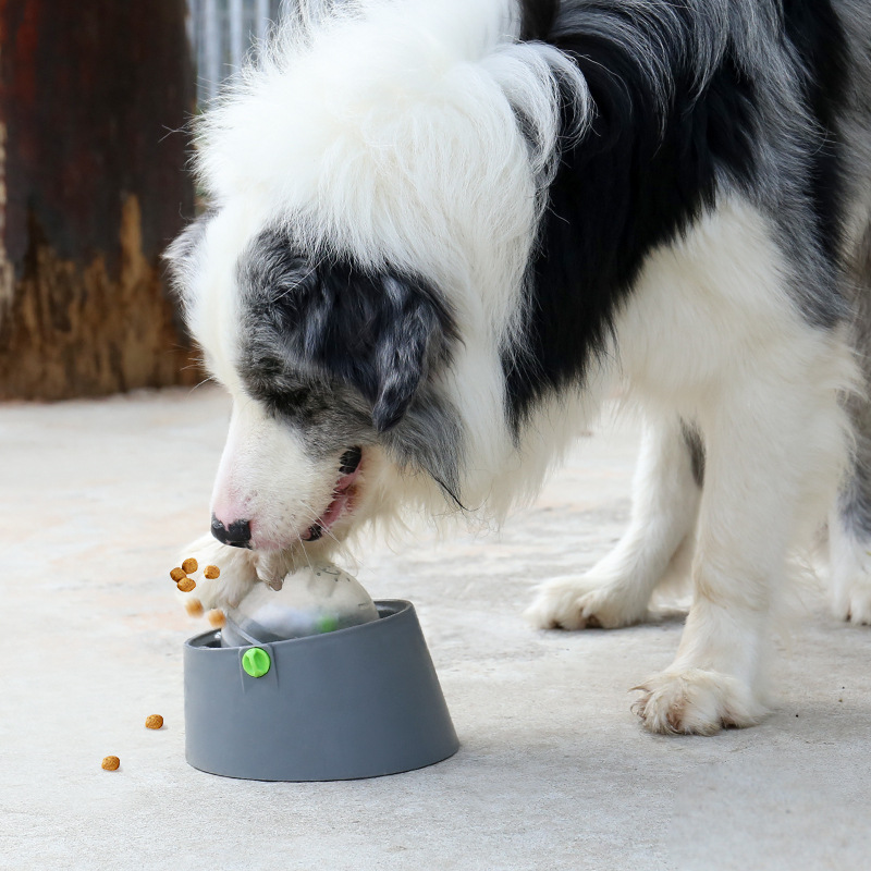 Riley Futterball für Hunde und Katzen