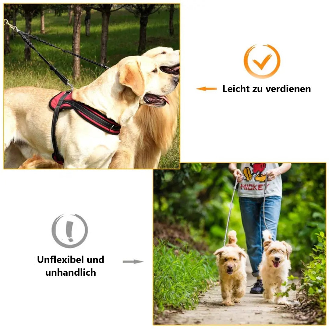 Dagmar Doppelleine für zwei Hunde