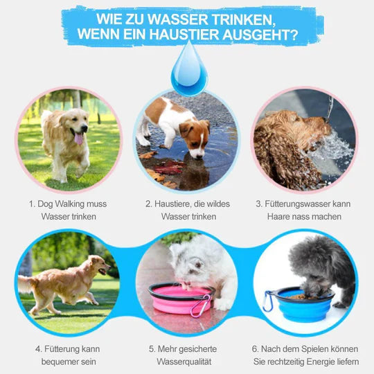 Zumo | Tragbare Trink- und Futterflasche für Haustiere unterwegs