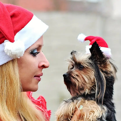 Emmi Weihnachtsmütze für Hunde