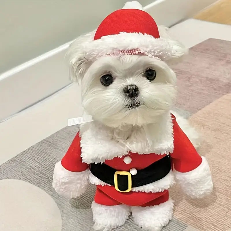Starry Weihnachtsmann-Hundekostüm