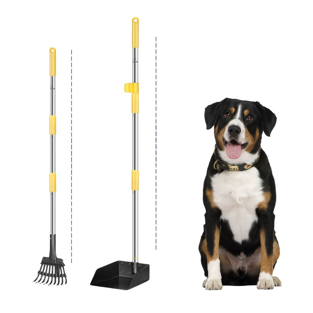 Mocha Hundekotschaufel Rechen Set