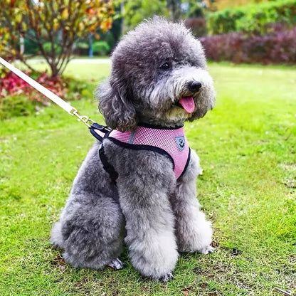 Tobi | Atmungsaktives Geschirr für Haustiere