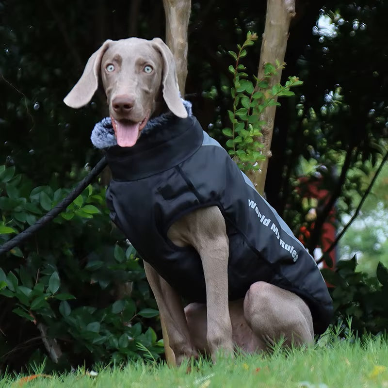 Freya Wasserdichter Hundemantel
