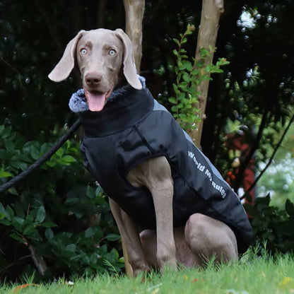 Freya Wasserdichter Hundemantel