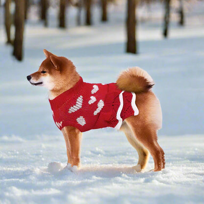 Angel Kleid für Hunde