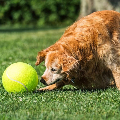 Remko | Der Spielball für Hunde
