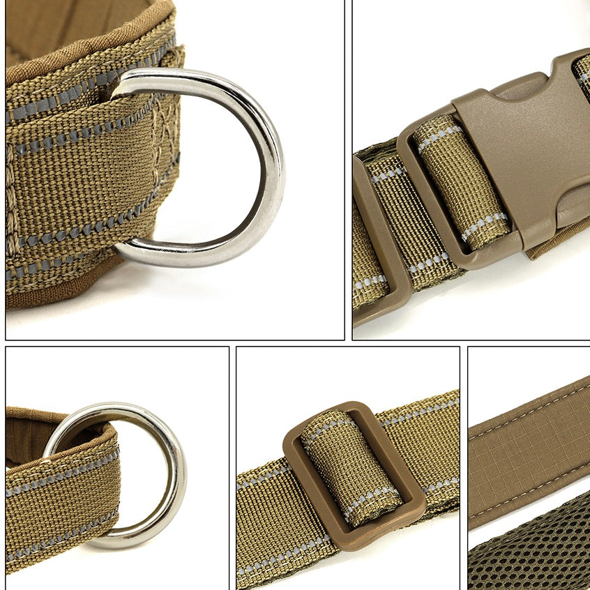 Rainer Hundegeschirr