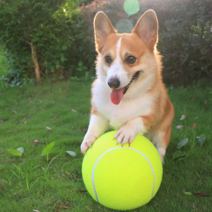 Remko | Der Spielball für Hunde