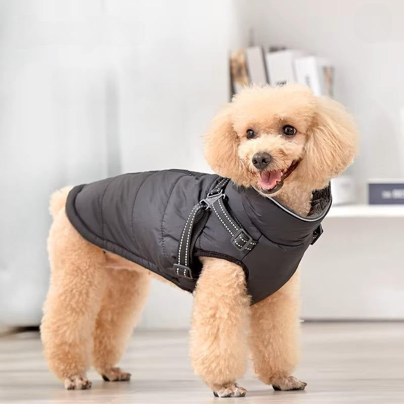 Elia Wasserdichte Hundejacke