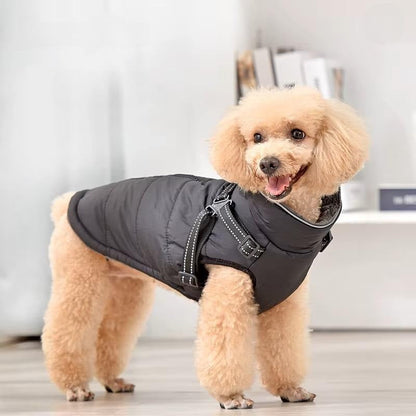 Elia Wasserdichte Hundejacke