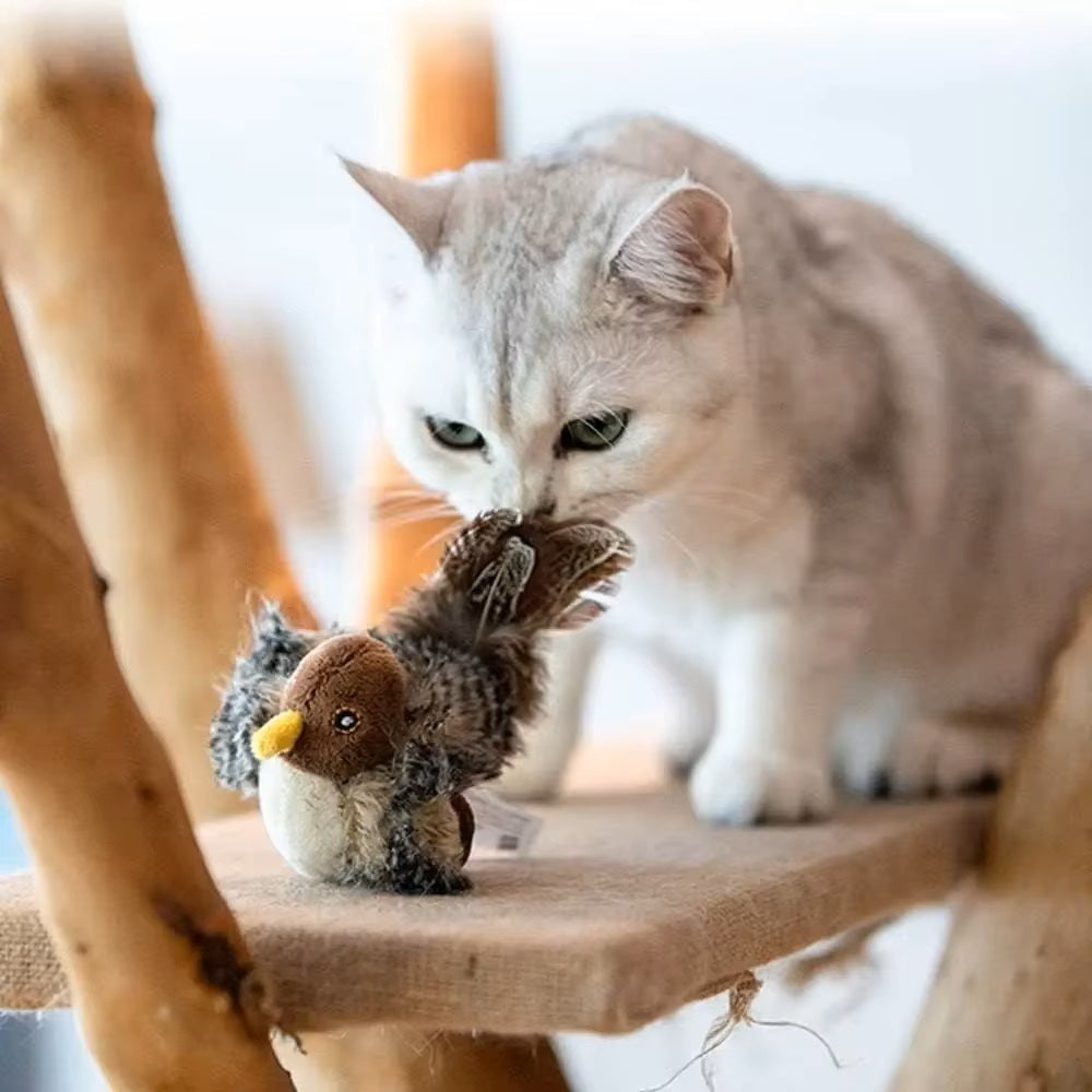 Pfiffi Interaktives Katzenspielzeug