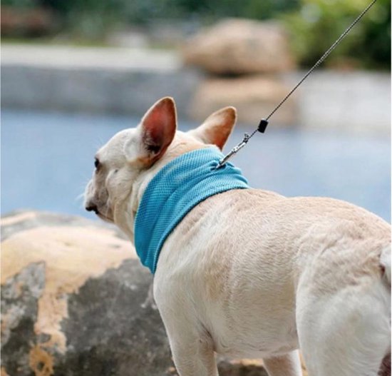 Juna | Sorglose Kühlung ohne Erstickungsgefahr