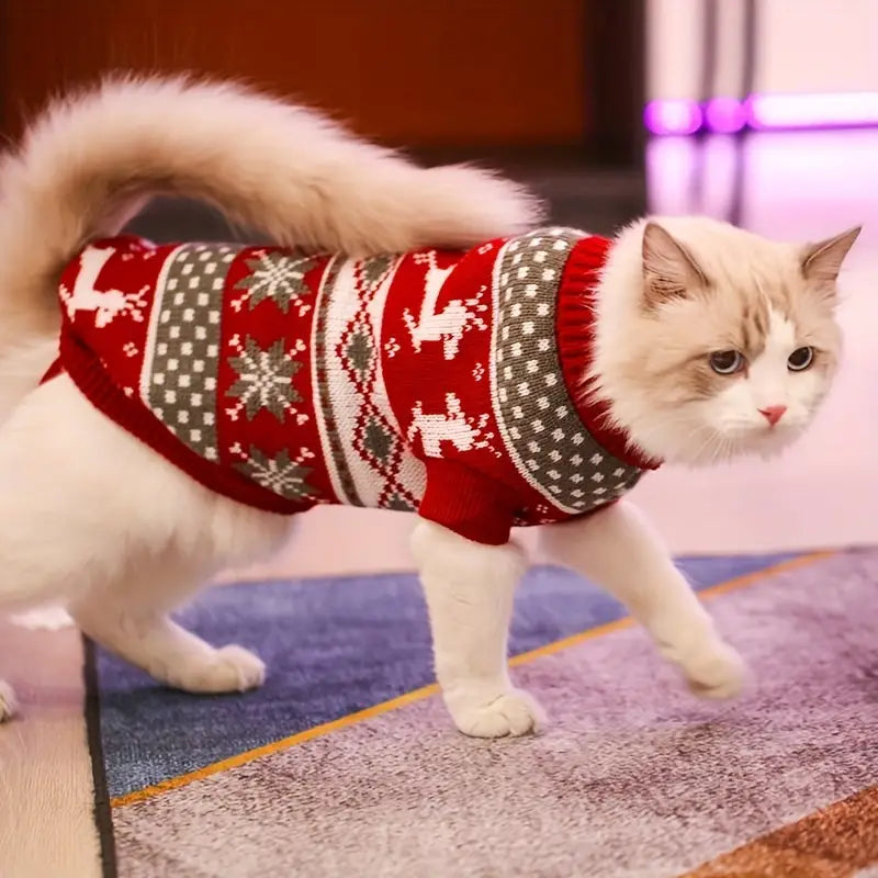 Blaze Gestrickter Pullover für Katzen