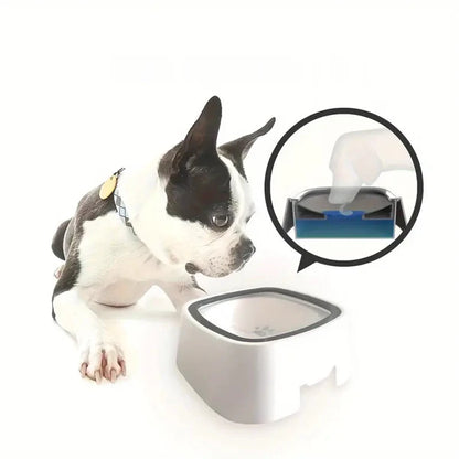 Gracie Trinknapf für Hunde