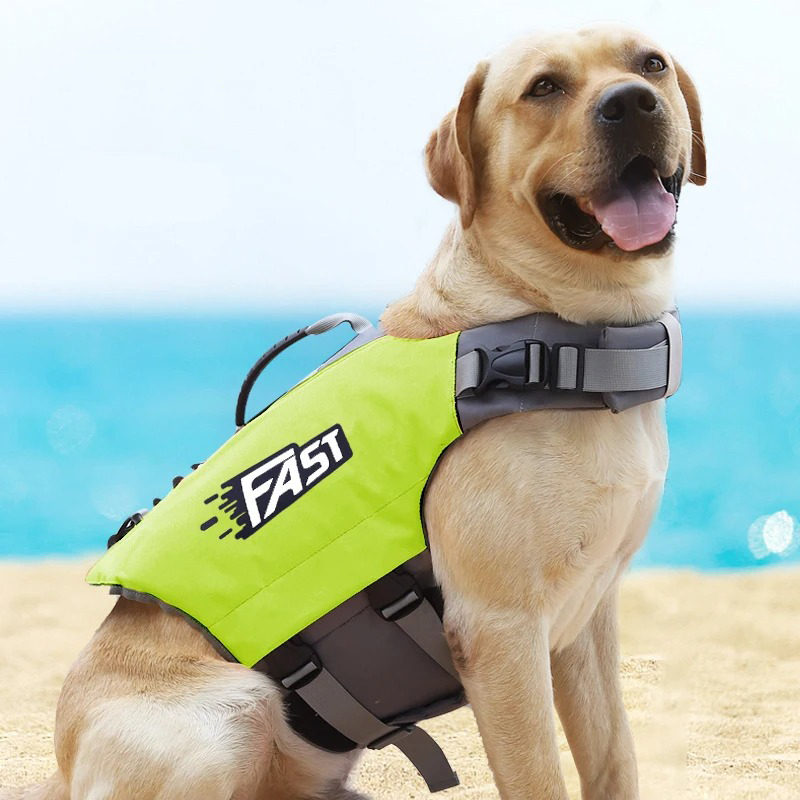 Lotte Hunde schwimmweste