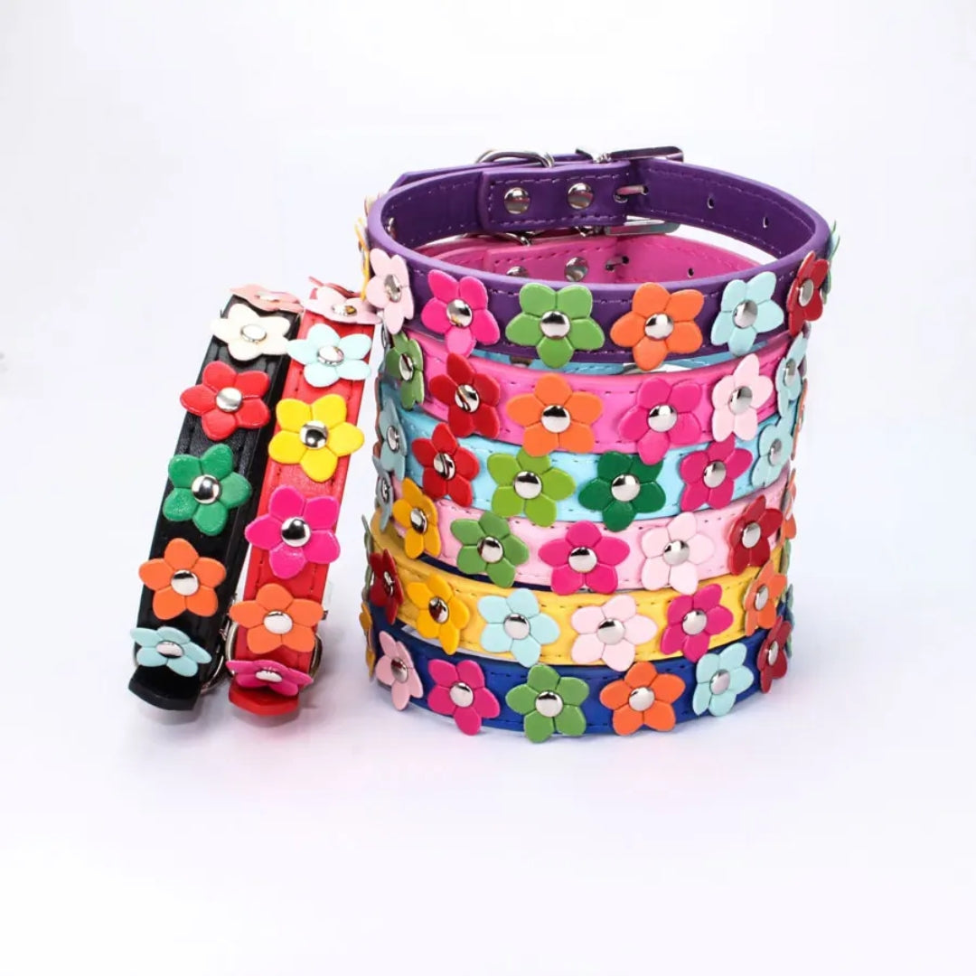 Angie | Stilvolles und sicheres Halsband für Hunde und Katzen