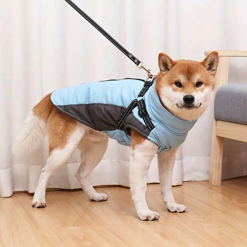 Bernd Hundejacke