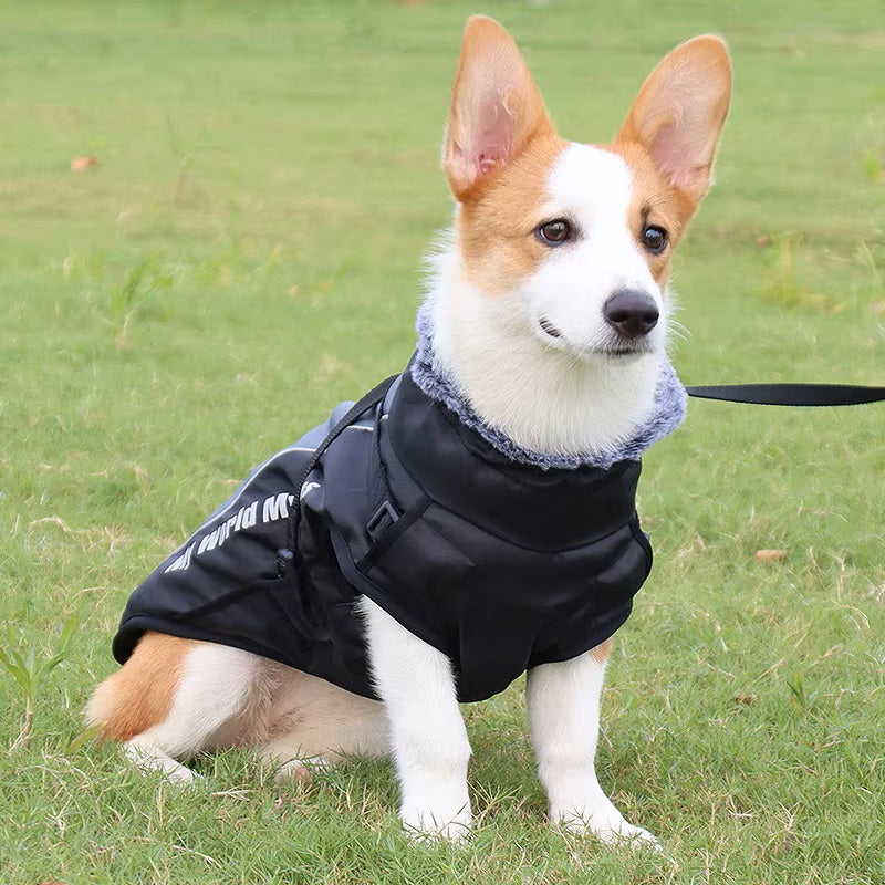 Freya Wasserdichter Hundemantel