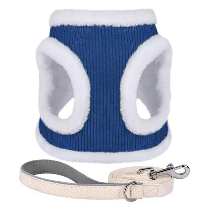 Susi | Erhalte einen Gürtel kostenlos im Wert von 14,95 € dazu