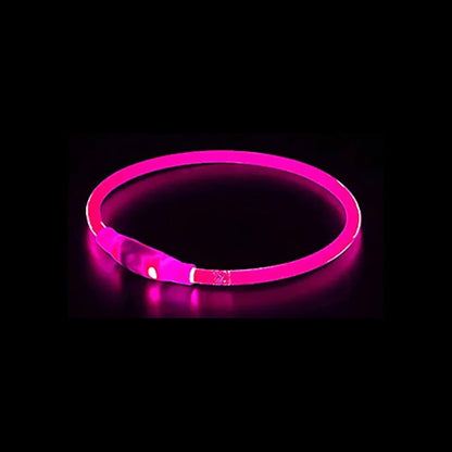 Leopold LED-Hundehalsband in Farben
